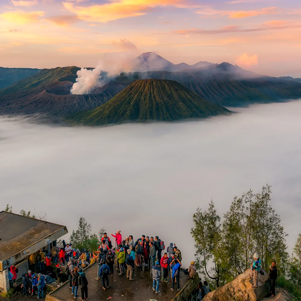 Bromo 6